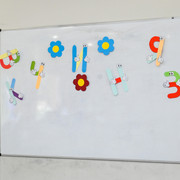 Pic-1