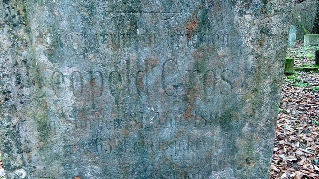 IMG-20201227-141237.jpg