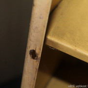 IMG-5270