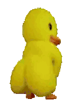 spacer.png