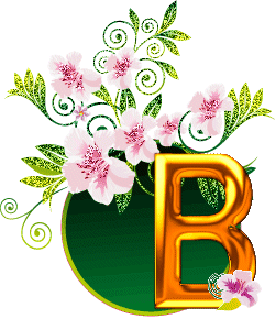 b.gif