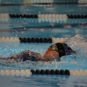 IMG-0061