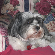 IMG-2830