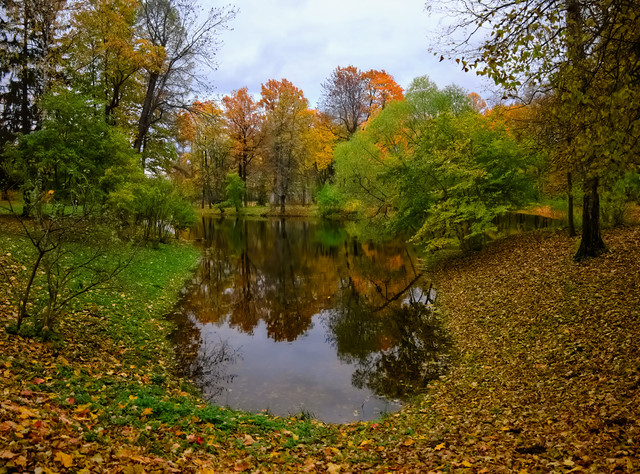 DSCF1811.jpg