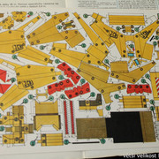 IMG-4503