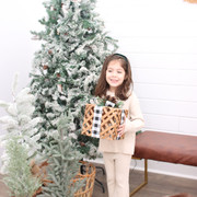 IMG-6572