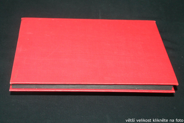 IMG-3378.jpg