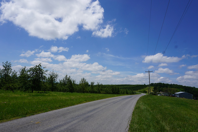 DSC08034