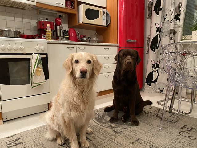 1-EBFABFC-402-B-4-BF7-B0-D5-274-ED5561-E