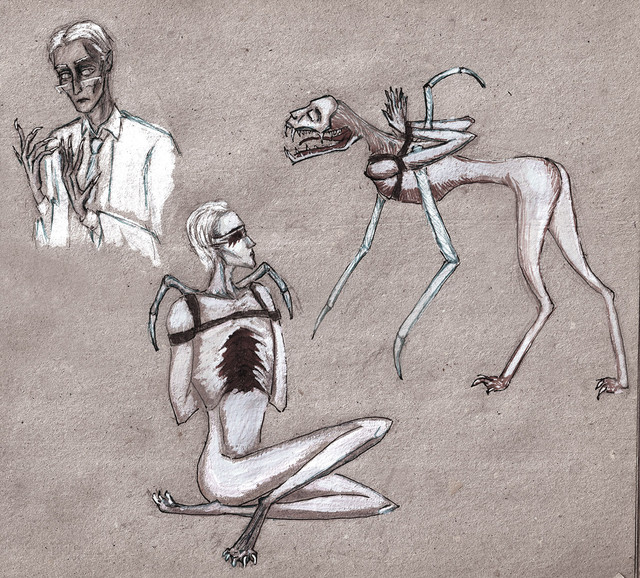 evolution.jpg