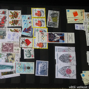 IMG-2423