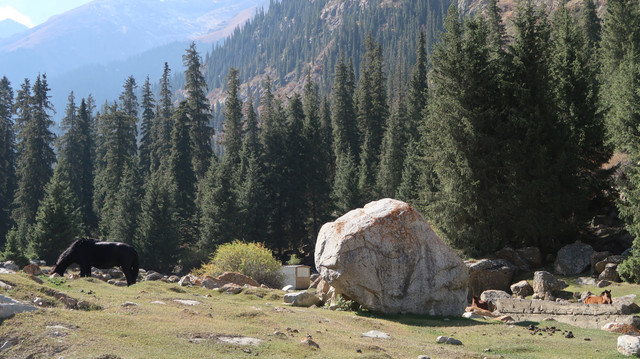 218.jpg