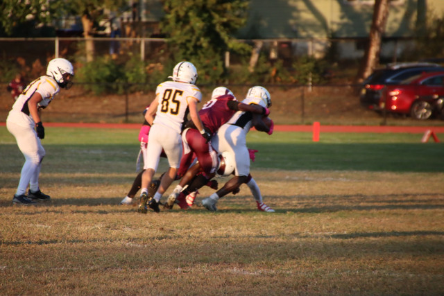 IMG-1437.jpg