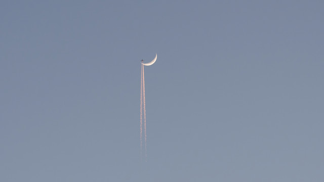 DSC02503