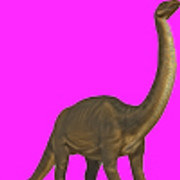 Bronto
