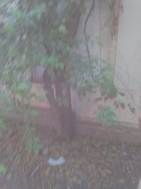Exif JPEG 420.jpg