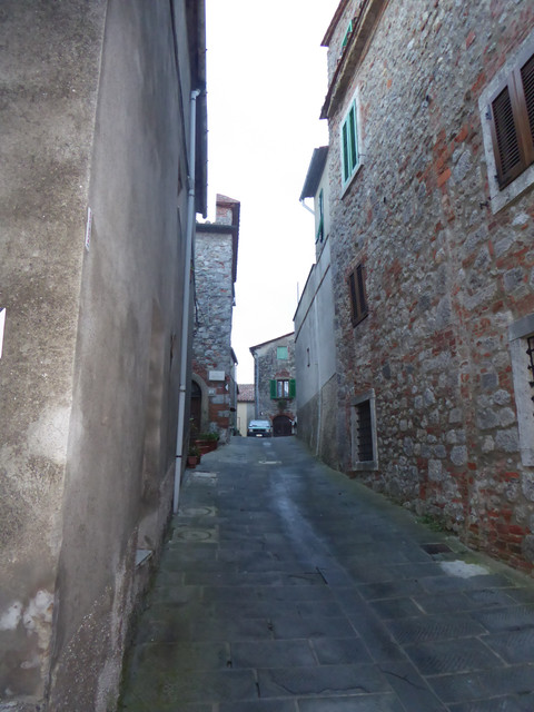 P1010729.jpg