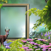 Life-is-beautiful-nature-is