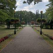 IMG-3356