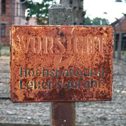 IMG-5859