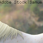 Banner - no text
