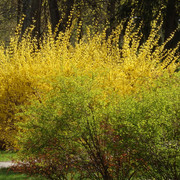 P5041567