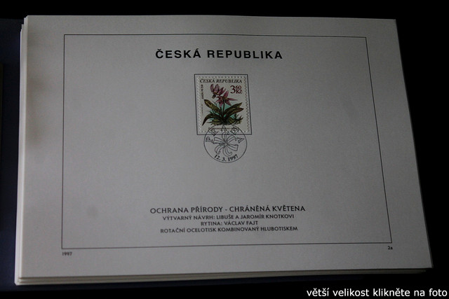 IMG-2135.jpg