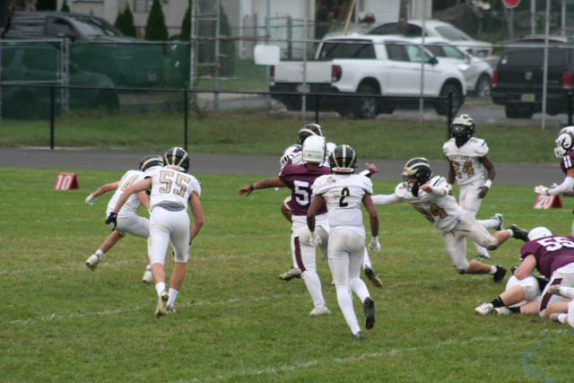 IMG-8468.jpg