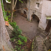 OLYMPUS-DIGITAL-CAMERA