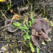 comp-IMG-8344