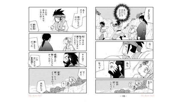 DLRAW-NET-010