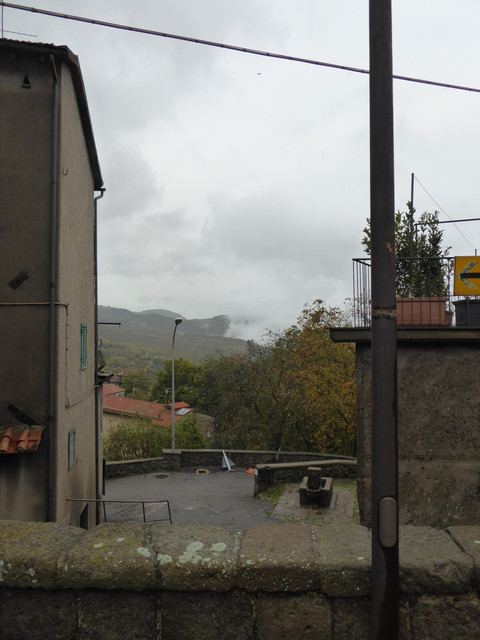 P1010520.jpg