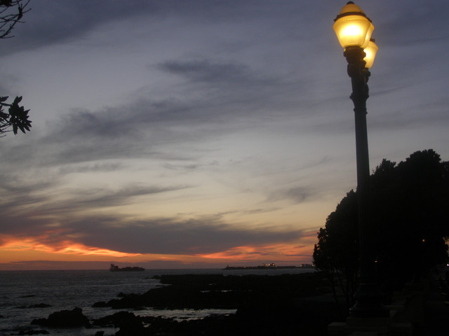 OLYMPUS-DIGITAL-CAMERA