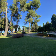IMG-4161