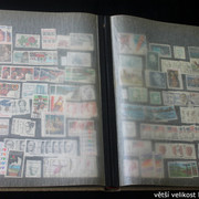 IMG-3088