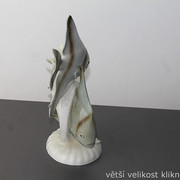 IMG-7900