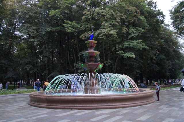 DSC07418.jpg