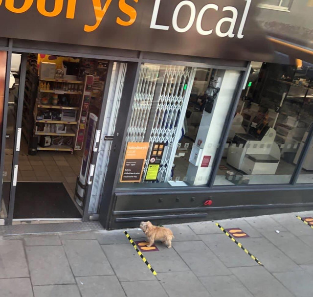 Ed-DOQJAXYAUXab-O-format-jpg-name-medium