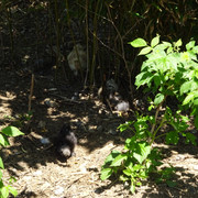DSC03361