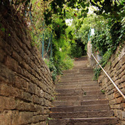 IMG-9780