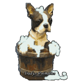 4.gif