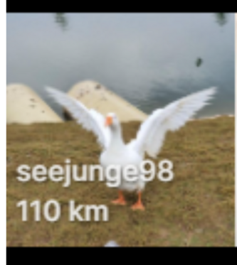 1146235.png
