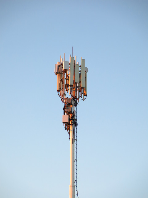 IMG-3542