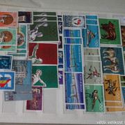 IMG-2556