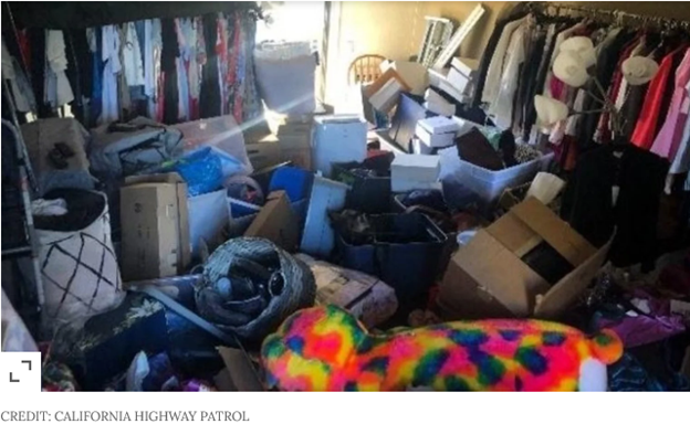 California Woman Charged with Grand Theft for Allegedly Stealing More ...
