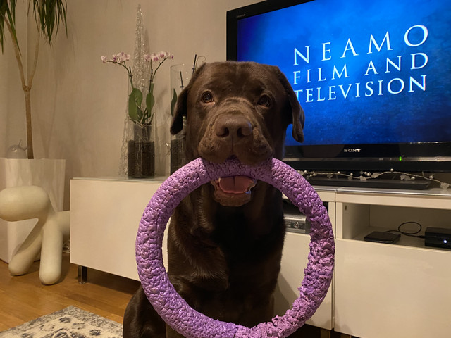 2031431-E-E075-4-FA9-8-B42-A417-FFEF663-