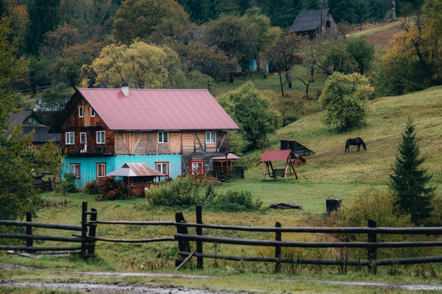 DSCF7803 2 копия