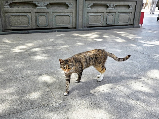 126.jpg