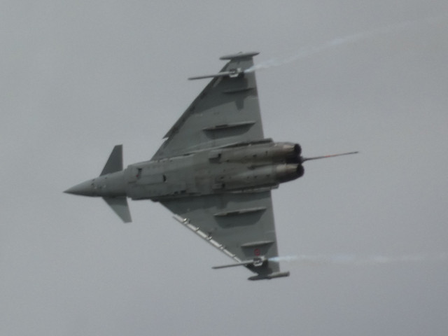 P1010146.jpg