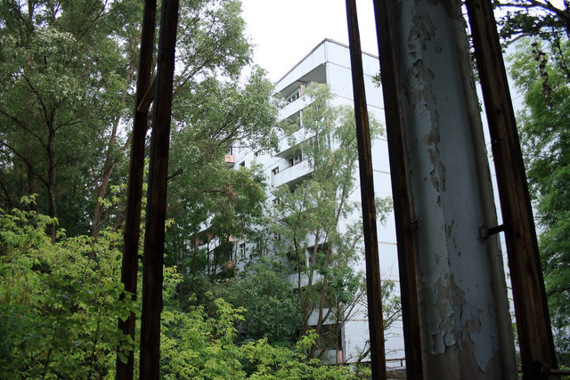 IMG-6078a.jpg